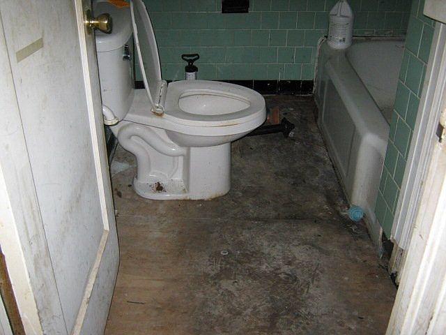2nd image of 1429 E Ollie Cir