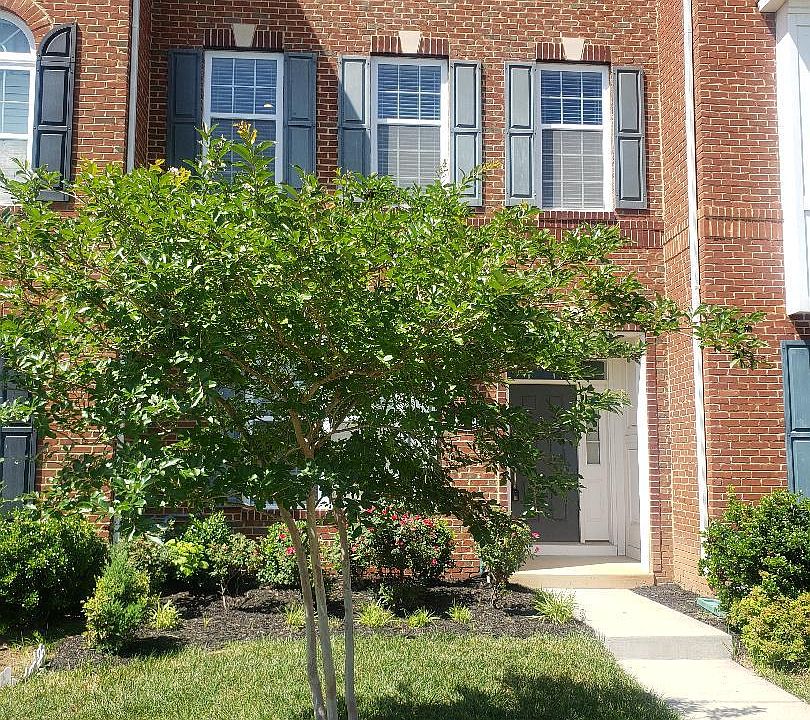1st image of 42990 Atoka Manor Ter