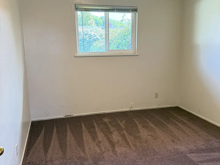 1151 Madrone Way — Photo 9