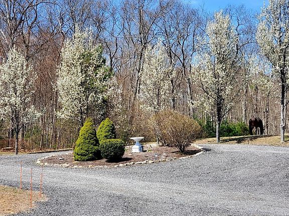 5th image of 320 Franklin Rd