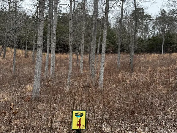 4 Arbor Creek Trl, Mineral Bluff, GA 30559