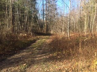 123 Campsite Rd, Mount Nebo, WV 26679