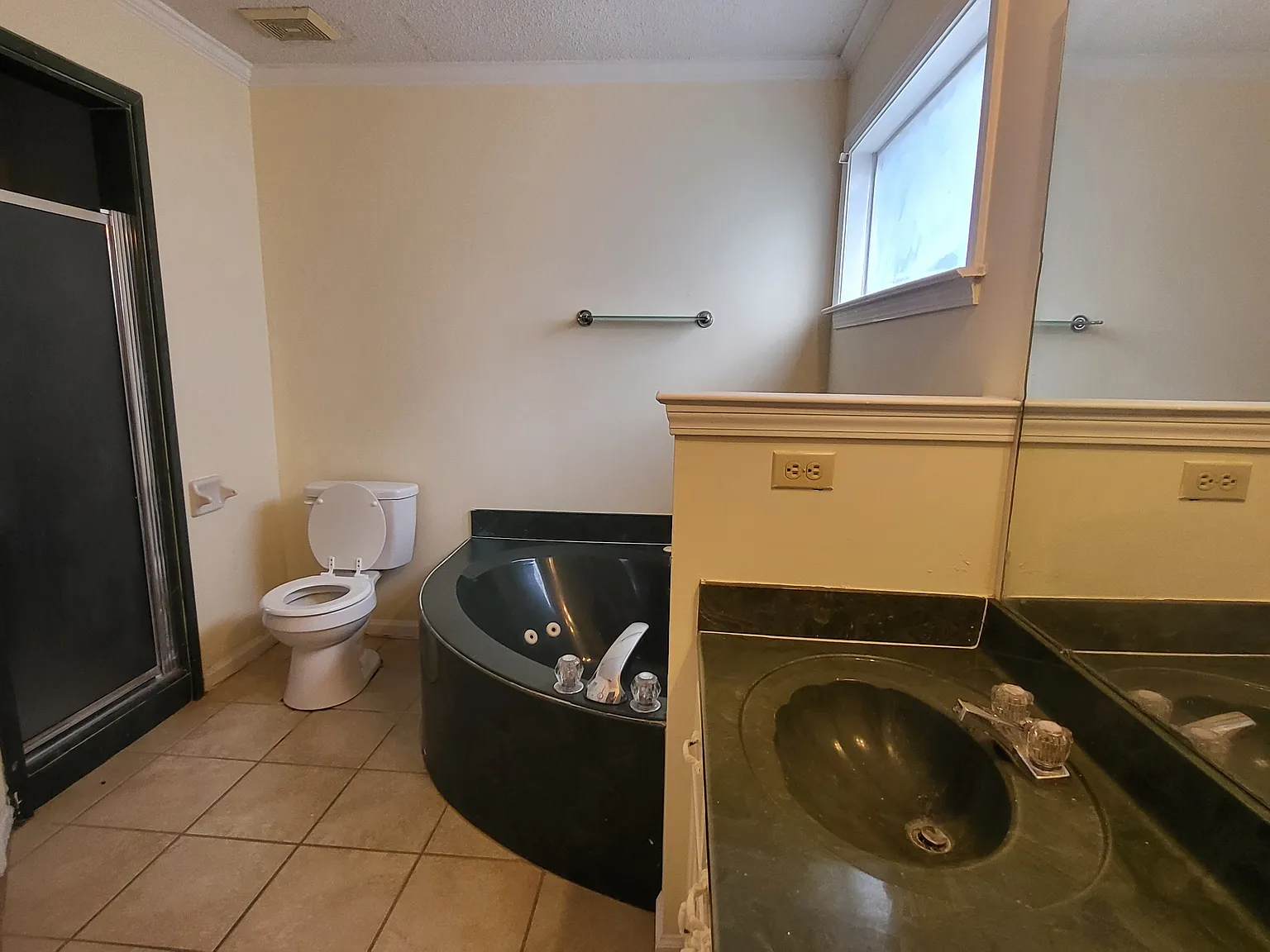 2232 Lake Springs Lane - 1 — Photo 4