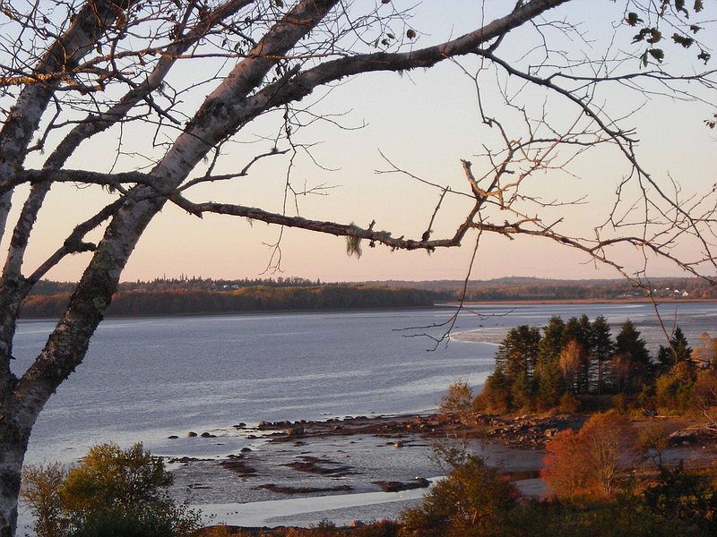 Upriver, autumn
						:
						Looking upriver, autumn