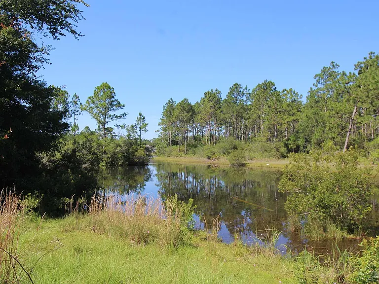 10609 Creek Ridge Dr — Photo 18