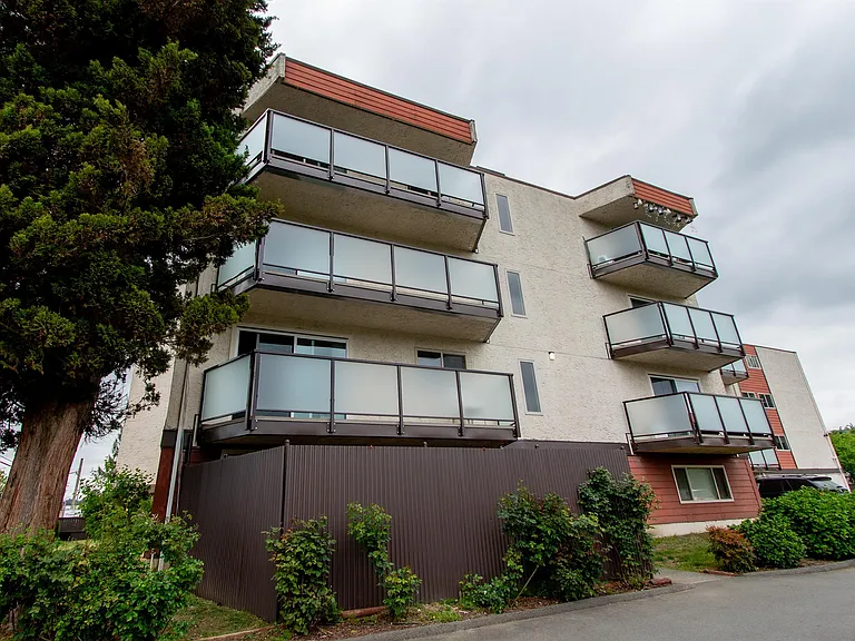 2541 Dingwall St #201 — Photo 6