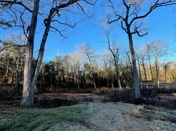 11357 Annie Creek Dr, Willis, TX 77378