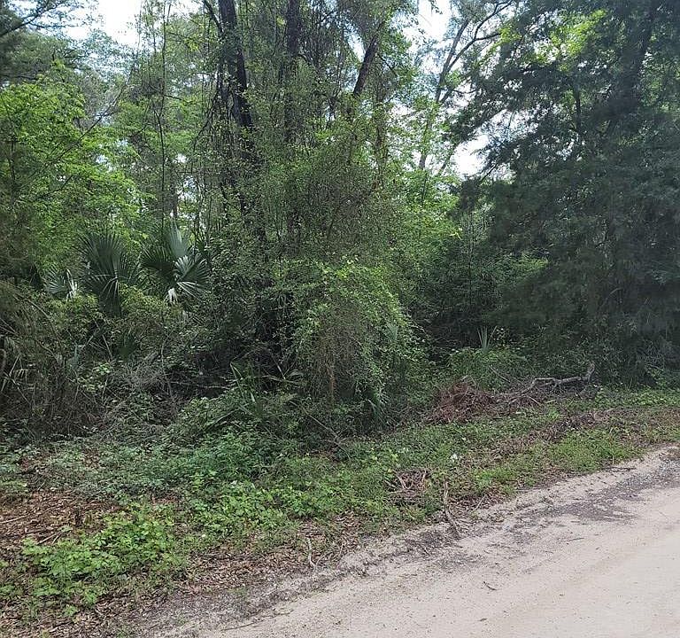 2nd image of LOT 91 709th St