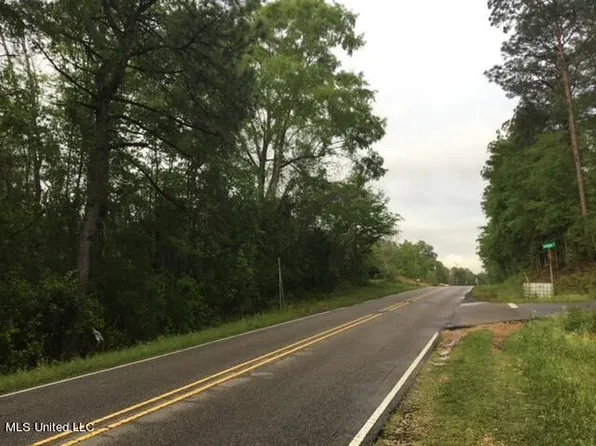0 W McHenry Rd, Mc Henry, MS 39561