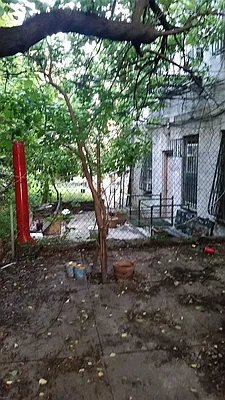 Rented by Space Link Realty | media 4