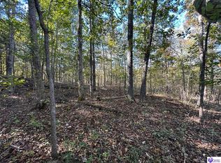 579 Hudson Fairfield Rd, Hudson, KY 40145