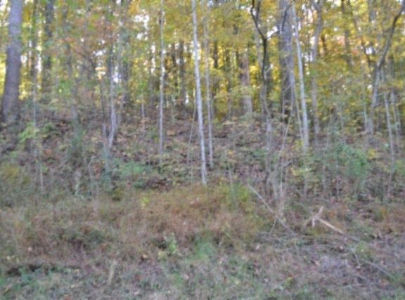 3rd image of 0 Apache Rd #62