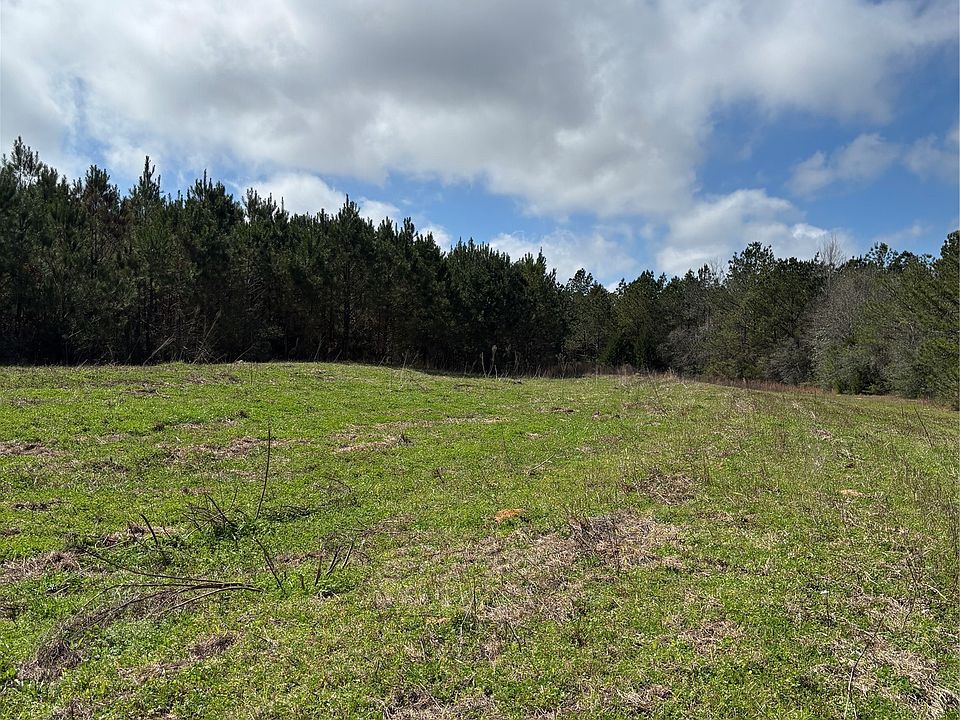 1st image of 35729 Hesters Store Rd