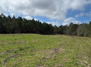 35729 Hesters Store Rd, Red Level, AL 36474