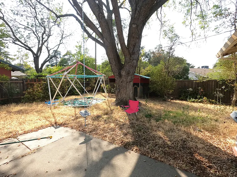 1419 Whittier Dr — Photo 12