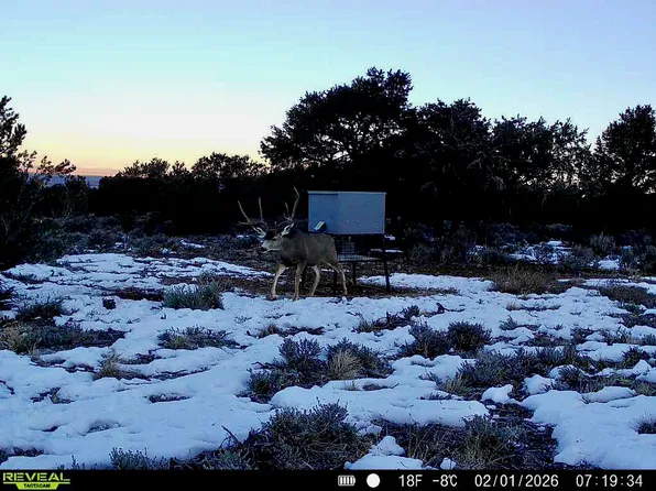 3402 State Highway 522, Questa, NM 87556