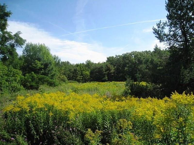 2nd image of 0 PRICE Lane