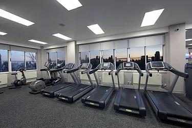 Rented by Manhattan Skyline