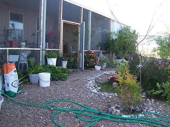 Garden in back of house