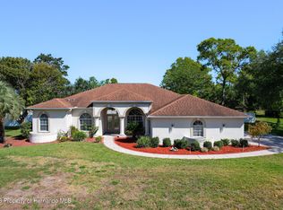 11339 Orangewood Ct, Spring Hill, FL 34609