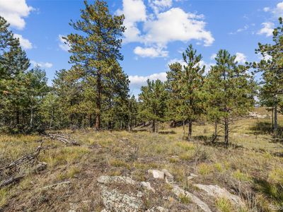 000 Mockingbird Trail, Bailey, CO, 80421