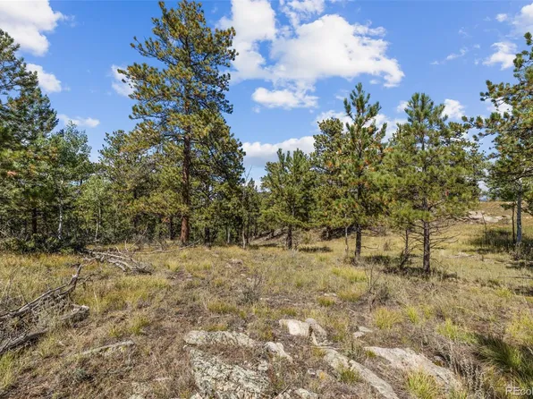 000 Mockingbird Trail, Bailey, CO 80421