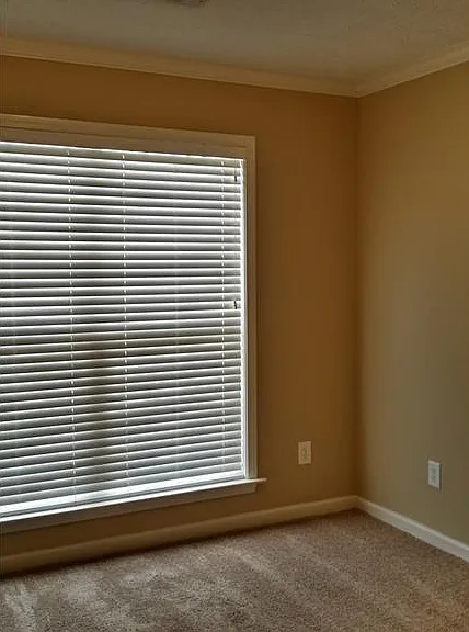8709 Lindsey Ln — Photo 13