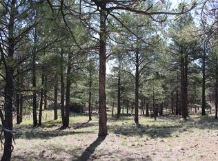 2980 S Solitaires Canyon Dr, Flagstaff, AZ 86005