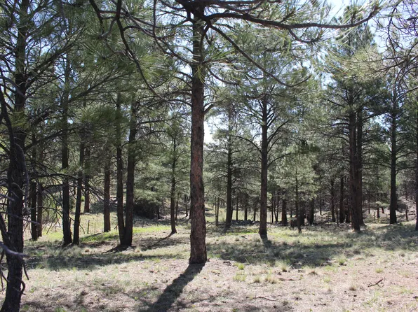 2980 S Solitaires Canyon Dr, Flagstaff, AZ 86005