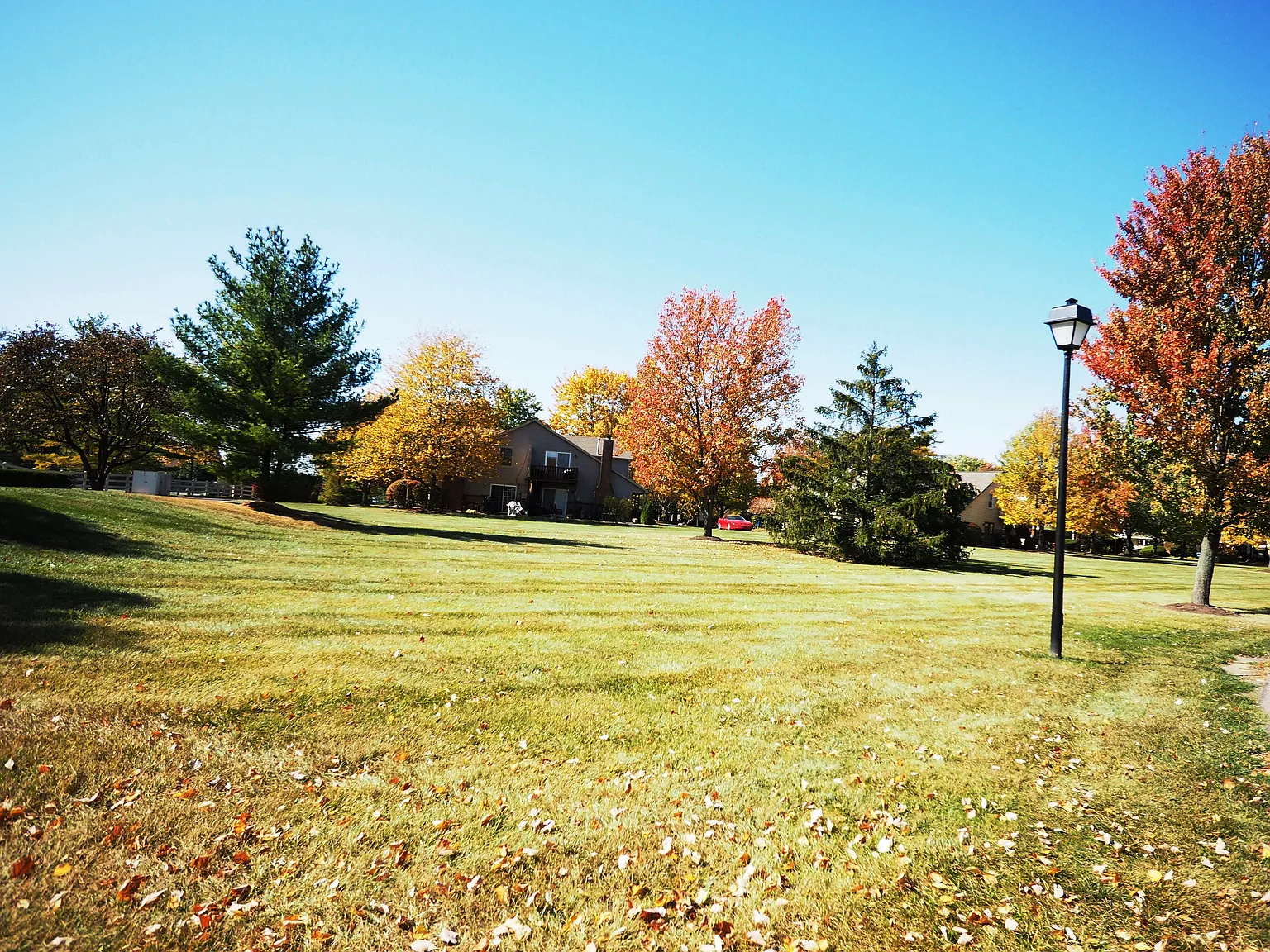 7347 Castleton Farms North Dr photo 1