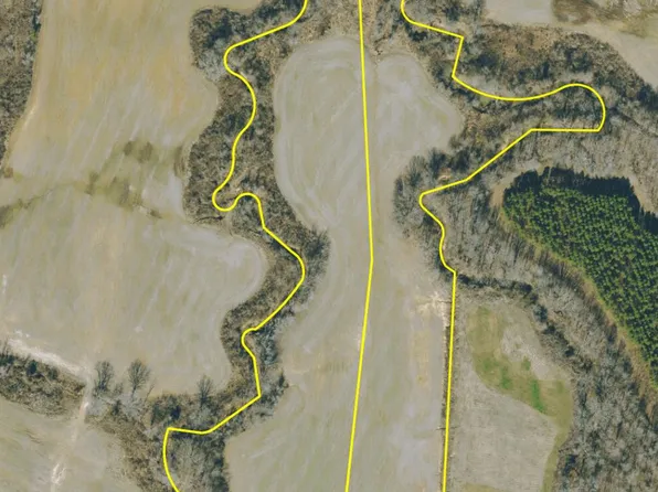 County Road 428, Paris, MS 38949