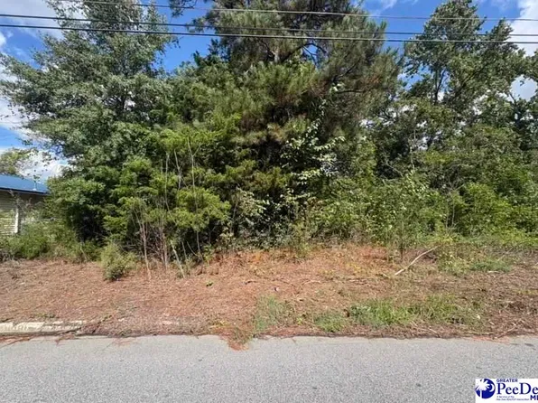 3009 S Durant St, Lake City, SC 29560