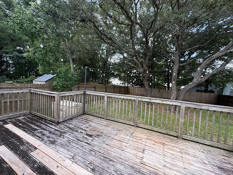 203 Alonzo Ct — Photo 25