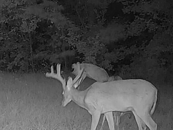 5th image of 0 Poplar Springs Rd