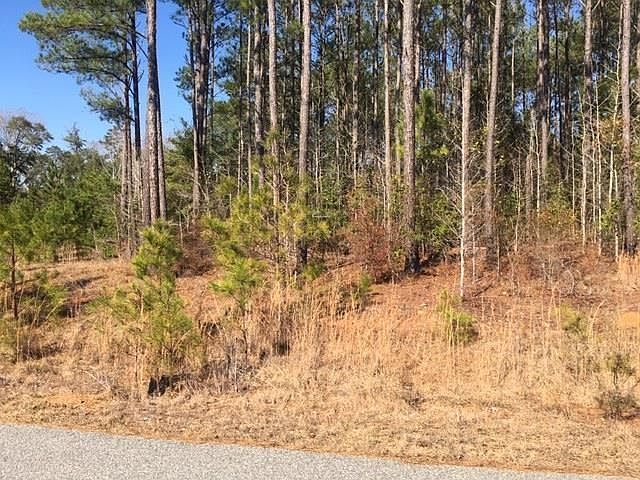 1st image of 49 Ihagee Creek Cir