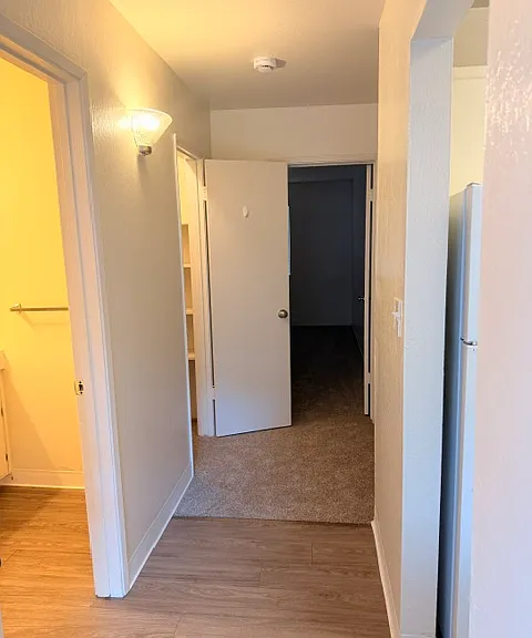 PINE TERRACE APARTMENTS — Photo 15