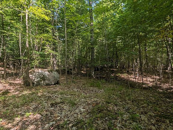 2nd image of 0 Kamaniskeg Lake Rd