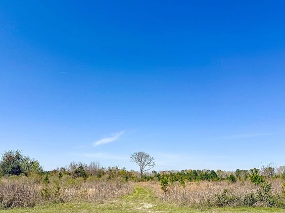 Compass South Land Sales South Carolina City Farm 60 3