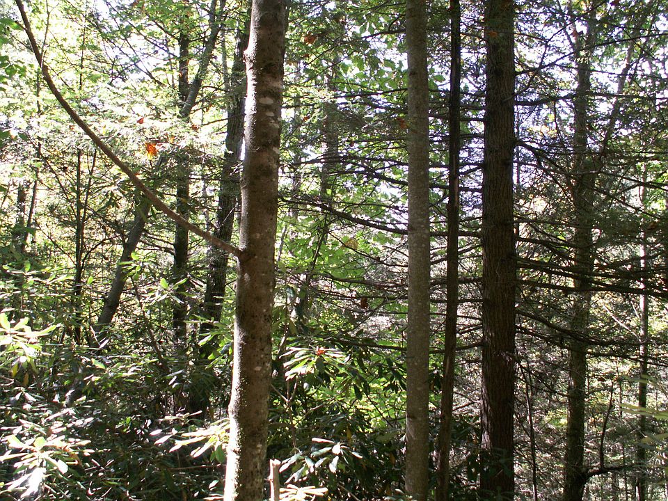 2nd image of Tbd Hubert Taylor Rd