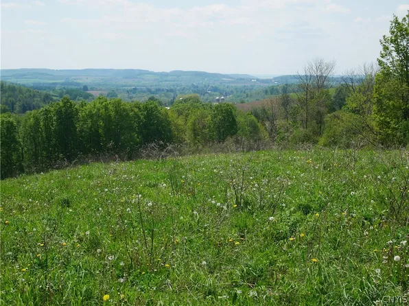 Canning Factory Rd Lot 30, Waterville, NY 13480