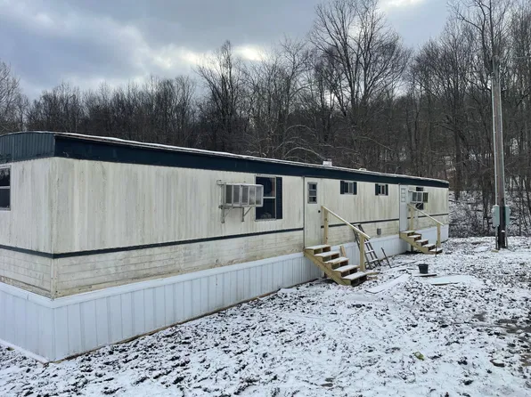 434 Tunnelton St, Kingwood, WV 26537