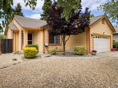 355 Sugar Maple Lane, Windsor, CA, 95492