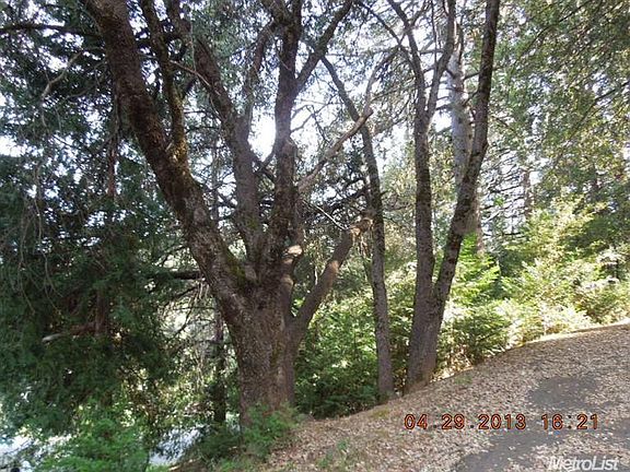 3rd image of 16435 Evelyn Way