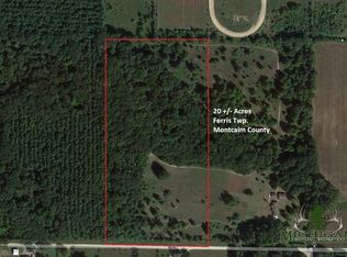 Vl E Klees Rd, Crystal, MI 48818