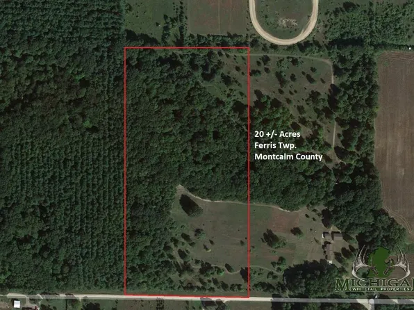 Vl E Klees Rd, Crystal, MI 48818