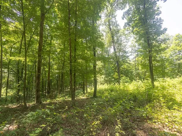 LOT 8 County Road 5, Calhoun, TN 37309