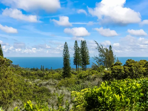 1330 Kauhikoa Rd, Haiku, HI 96708