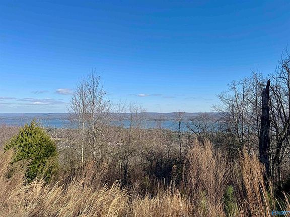 2nd image of 302 McCorkle Mountain Rd