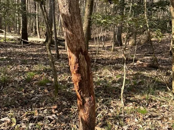 830 Stoddard Dr, Wetumpka, AL 36093