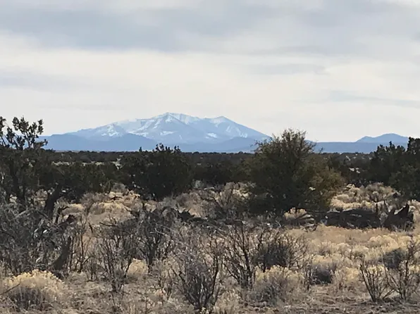 5597 S Cattle Tank Rd, Williams, AZ 86046